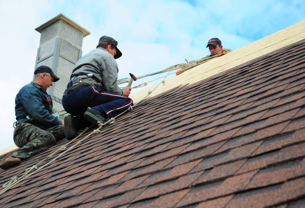 Best Gutter Installation and Roofing  in New Haven, WV