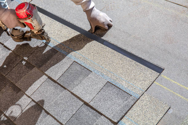 Best Residential Roofing Contractor  in New Haven, WV